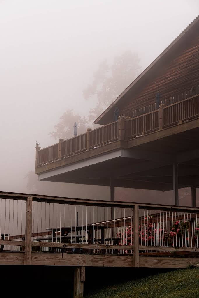 Misty morning at the vineyard