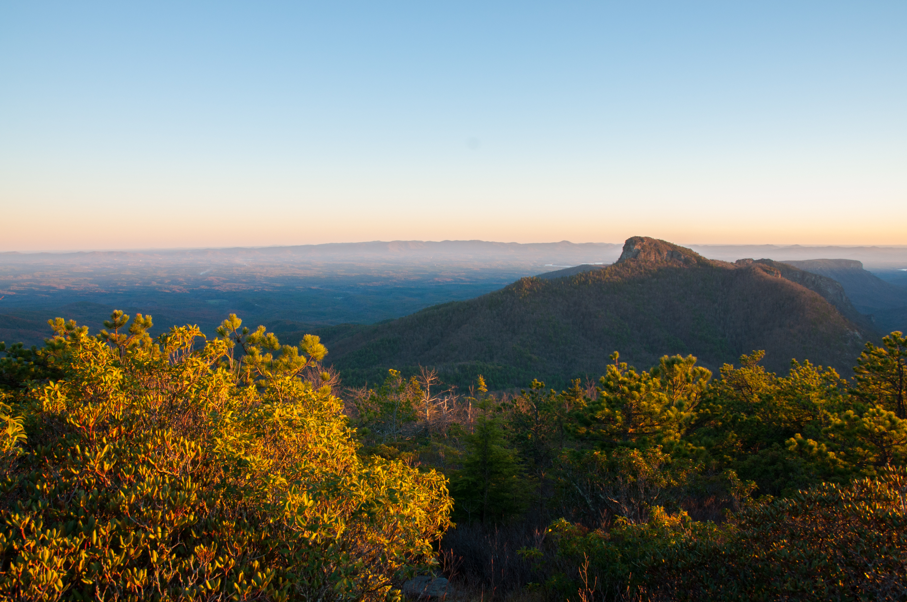 Vintage collectibles